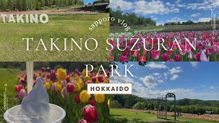 sapporo vlog8 Takino Suzuran Park with tulips in full bloom  Sapporo Hokkaido [upl. by Trin]