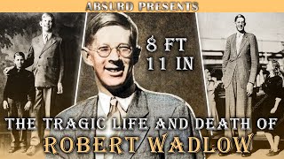 The Life And Death Of Robert Wadlow Tallest Man That Ever Lived [upl. by Acacia989]