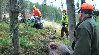 Reportage Elchjagd in Schweden [upl. by Atikihs]