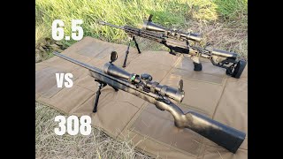 308 vs 65 creedmoor at 1000 yards [upl. by Eerahs625]