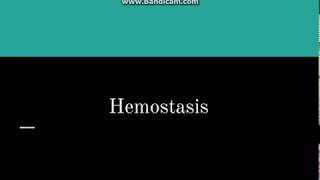 Hemostasis [upl. by Aneelahs186]