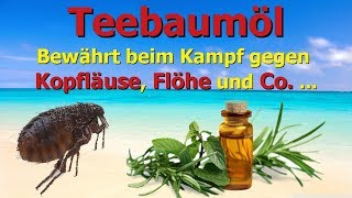 Teebaumöl  Bewährt gegen Kopfläuse Flöhe und Co [upl. by Ojaras]