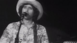 The Commander Cody Band  Down To Seeds And Stems Again Blues  851977 Official [upl. by Sihun314]