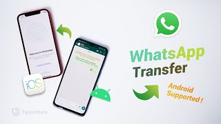 The EASIEST Way to Transfer WhatsApp from Android to iPhone 2020 Update [upl. by Erdna]