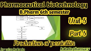 Production of penicillinpharmaceutical biotechnologybpharma 6th semester Unit5part5 [upl. by Darrick632]