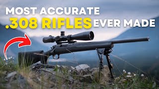 TOP 5 MOST ACCURATE 308 RIFLES EVER MADE [upl. by Ebbie394]