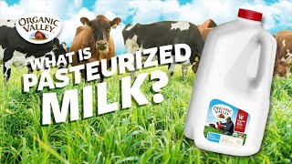 What is Pasteurized milk  Ask Organic Valley [upl. by Gambrell808]