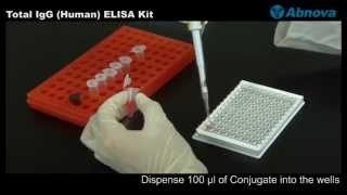 Total IgG Human ELISA Kit [upl. by Martinsen632]