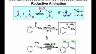 Reductive Amination Mechanism amp Examples [upl. by Annig]