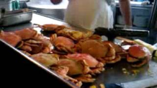 Fishermans Wharf San Francisco Crab Stands [upl. by Eiramit]