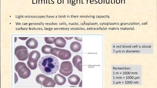 Histology introduction [upl. by Hseham]