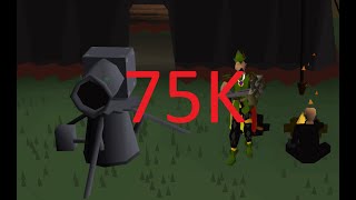 Osrs Cannon Guide for pures [upl. by Lorinda]