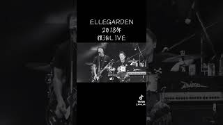 【ELLEGARDEN】 Supernova 2018年復活LIVE [upl. by Annig]