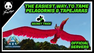 The EASIEST Way To Tame Pelagornis amp Tapejaras  Secret Trick  ARK Survival Ascended [upl. by Terti449]