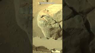 Perseverance Rover Sol 1302  Mars New 4k Video  Mars 4k Video  Mars In 4k  Mars shorts [upl. by Nlocnil364]