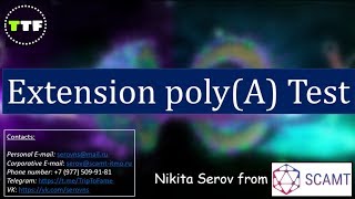 Poly Adenylation of eukaryotic mRNA [upl. by Rosco]