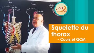 Squelette du Thorax Cours et QCM [upl. by Nerua73]