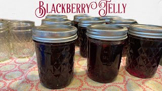 Making Blackberry Jelly [upl. by Townshend]