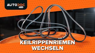 Keilrippenriemen wechseln AUTODOC TUTORIAL [upl. by Athey]