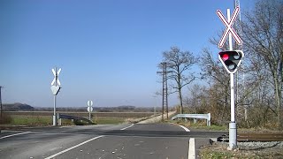 Spoorwegovergang Hódmezővásárhely H  Railroad crossing  Vasúti átjáró [upl. by Elletnahs]