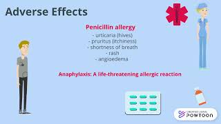 Pharmacology Project Penicillins [upl. by Icat427]