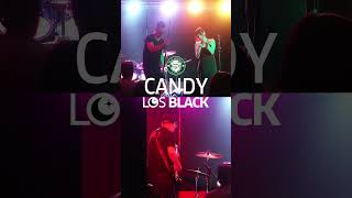 Candy  Iggy Pop A Cappella Cover  Los BLACK Live McCarthys 🎤 AltRock Shorts [upl. by Notyarb]