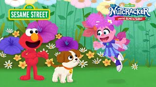 Sesame Street Abby’s Sugar Plum Fairy Song from The Nutcracker Starring Elmo and Tango [upl. by Blader]