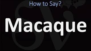 How to Pronounce Macaque CORRECTLY [upl. by Caryl62]