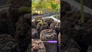 Starting Seeds Outdoors with Compost Soil Blocks [upl. by Ivie]