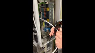 Master single conductors with KNIPEX NexStrip® [upl. by Nollid624]