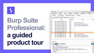 A guide to the Burp Suite user interface [upl. by Einotna]