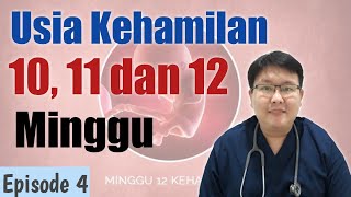 USIA KEHAMILAN 1011DAN 12 MINGGU eps 4  TANYAKAN DOKTER [upl. by Livvi295]