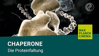 Chaperone  die Proteinfaltung [upl. by Kissie]