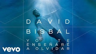 David Bisbal  Yo Te Enseñaré A Olvidar Audio [upl. by Bekaj]