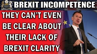 BREXIT Businesses Frustrated by Tory Incompetence [upl. by Ardnekat]