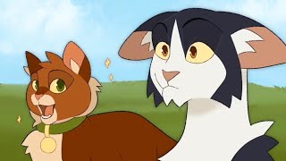 Funny Warrior Cats Memes Compilation [upl. by Crotty507]