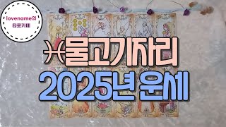 타로별자리운세 🌟♓물고기자리♓ 【2025년 운세】 2025년 1월12월까지 어떤일이 일어날까 🌟가볍게 즐겨주세요💕🦄🍀 [upl. by Koeninger852]