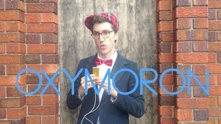 Seriously Funny Oxymorons  Mr Palindromes Kids Vlog 8 [upl. by Pompei]