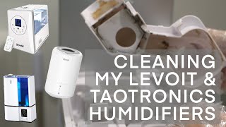 How To Clean Your LevoitTaotronics Humidifier Using Bleach [upl. by Gay]