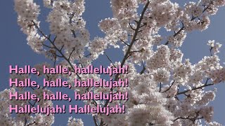 Halle Halle Hallelujah with lyrics for congregations [upl. by Marthena]