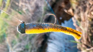 How to Fish Ned Rigs for Big Smallmouth Bass [upl. by Rayburn9]