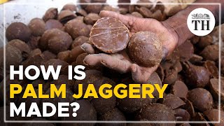 How is palm jaggery made  The Hindu [upl. by Corotto]