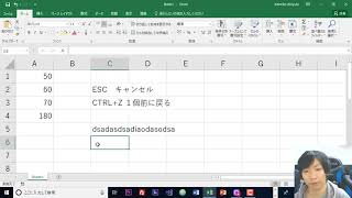 Excel 「CTRLZ」と「ESC」のショートカットキーの違いについて [upl. by Anila]