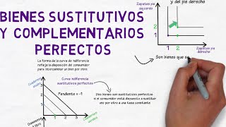 Bienes sustitutivos y complementarios perfectos  Cap 26  Microeconomía [upl. by Corina]