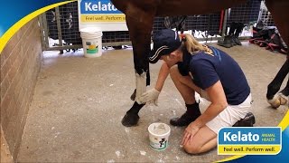 How To Apply a Poultice [upl. by Elinore]