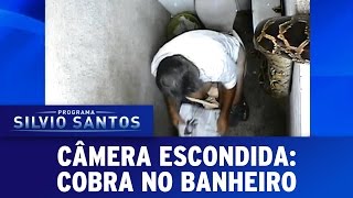 Câmera Escondida 181216  Cobra no Banheiro [upl. by Chesnut]