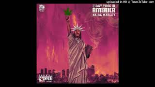 Naira Marley – First Time In America Full Song [upl. by Eki975]