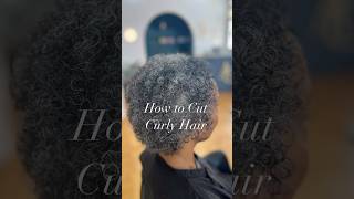 How To Cut Curly Hair curlyhair curlyhairstyles curlyhairtutorial afrohair afro [upl. by Anam]