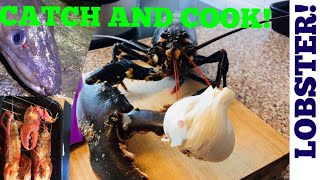 CATCH AND COOK LOBSTER  CONGER EEL FISHING [upl. by Kunkle215]