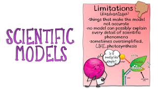 Scientific Models [upl. by Ahseym140]